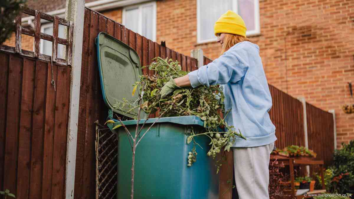 New recycling rules England: 10 garden waste items councils won't collect