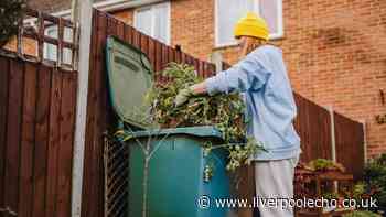 New recycling rules England: 10 garden waste items councils won't collect