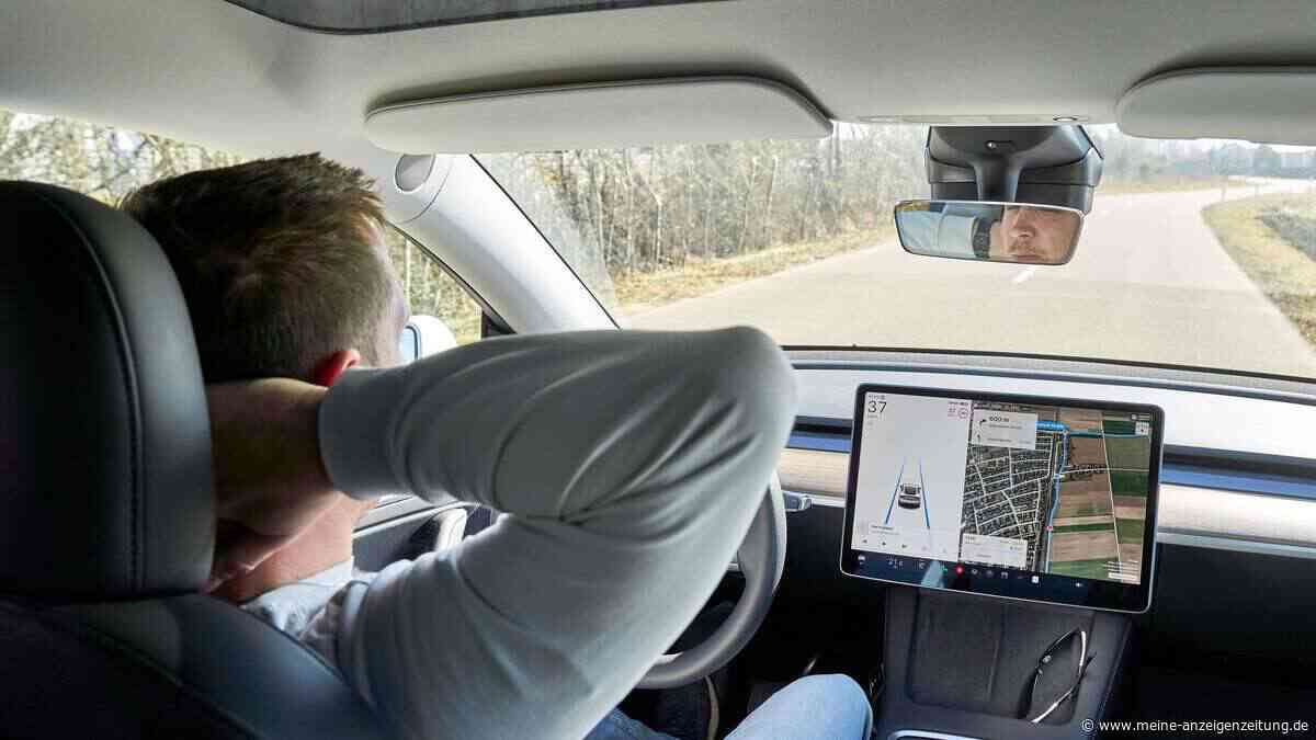 Puppenkopf-Trick: Tesla-Besitzer in China überlisten Autopilot mit simpler Methode