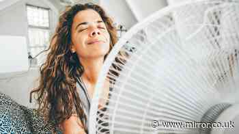 UK heatwave tips that actually keep you cool from tin foil hack to correct fan placement