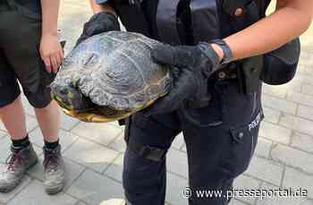 POL-BI: Schildkröte auf A 2 Zufahrt