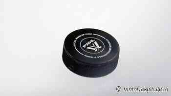 PWHL adds first investors to sustain rapid growth