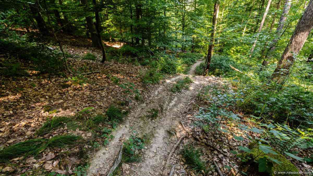 Duitse jager (61) voor rechter na gespannen draden over mountainbikeroute