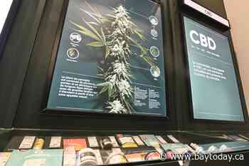 National cannabis organization suspends operations, citing active illegal market