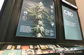 National cannabis organization suspends operations, citing active illegal market