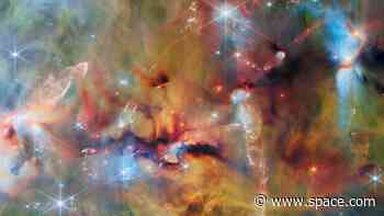 James Webb Space Telescope captures the star-forming clouds of Orion A in stunning detail | Space photo of the day for June 22, 2026