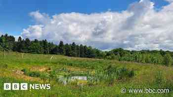 'Citizen scientist' photos used to reduce flooding