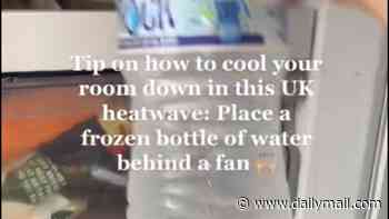 Heatwave hack could prove DEADLY: 'DIY AC unit' trend leaves users at risk of electric shocks, experts warn