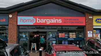 Common issue fixed 'fast' with £20 gadget reduced to £1.99 at Home Bargains