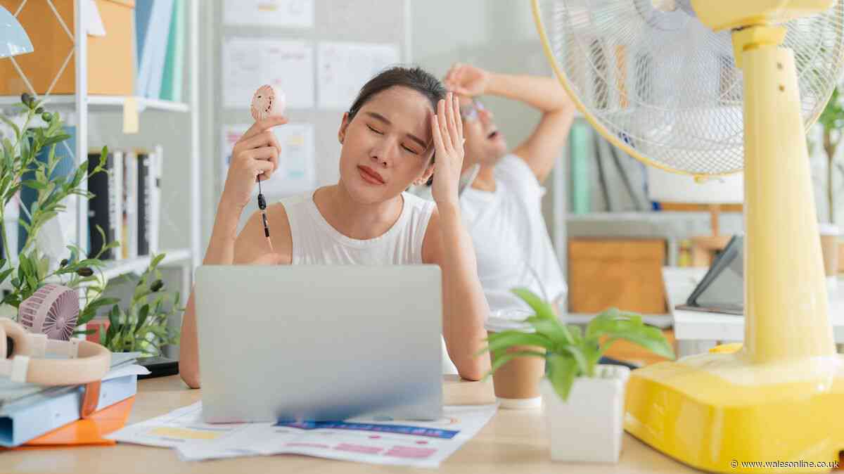 Lawyer explains when it's too hot to work and if you can go home