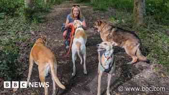 Climb-down on divisive changes to dogs on leads