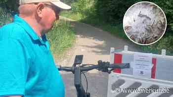 Warnung vor Eichenprozessionsspinner: Bäume an Radweg  entlang B471 befallen – Kapelle gesperrt