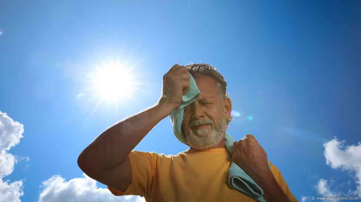 Public Health Wales on how to stay safe in 'risk to life' heatwave