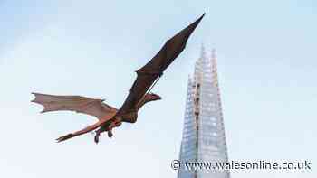House of the Dragon model takes to the skies of London