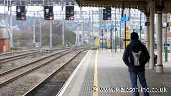 Trains may stop running in Welsh heatwave peak with 'essential travel' plea issued