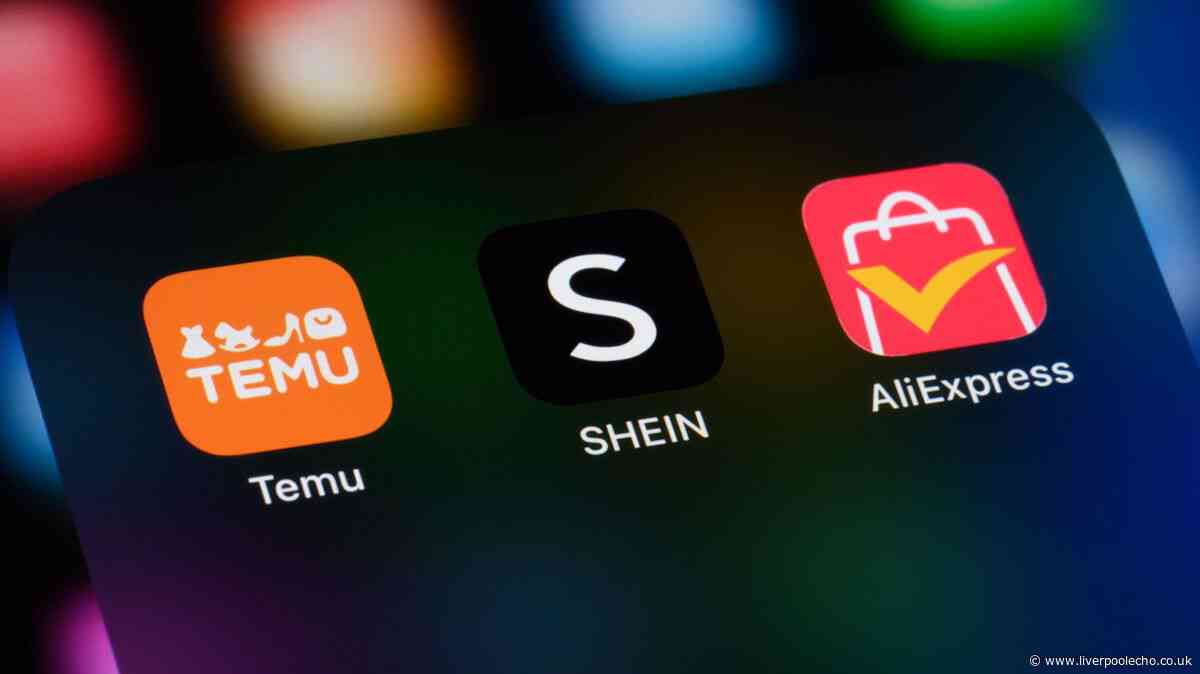 Shein customer orders bag from website but get a fright when she opens it