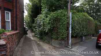 Investigation launched after woman tragically found dead near south Manchester alley