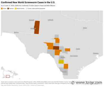 Interactive map tracks screwworm spread