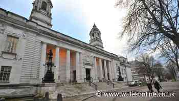 Teen who watched violent video games made weapon and attacked stepdad