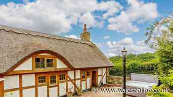 Dog-friendly 'picture postcard' cottage has hot tub and 'added entertainment'