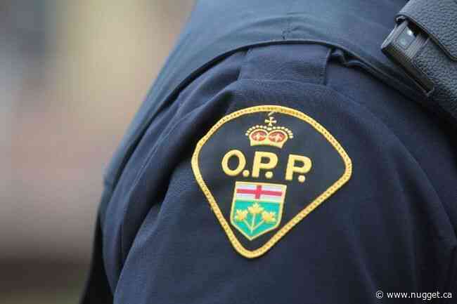 Almaguin Highlands OPP arrest man for alleged online threats toward government employees