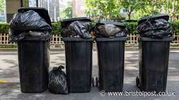 Bins will stop smelling in hot weather if 1 kitchen item is placed inside