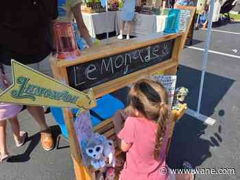 Fort Wayne boy's lemonade stand raises hundreds of dollars for law enforcement