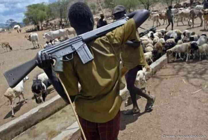 Herdsmen attack Delta community, one injured as residents seek security intervention