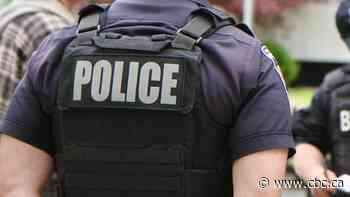 Hamilton police officer who punched a handcuffed woman, breaking her nose, gets conditional discharge