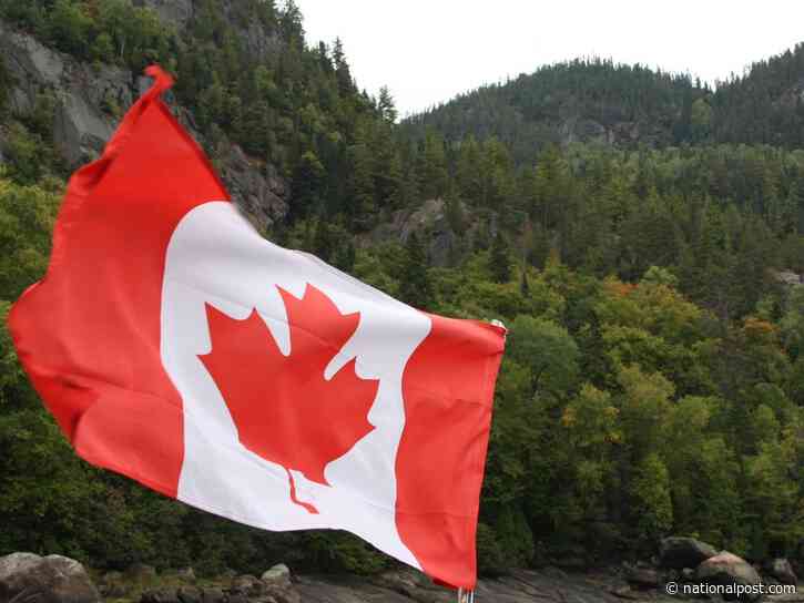 Quebec town officially recognizes trees as sentient living beings with their own rights