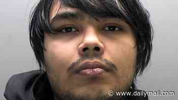 Two teenagers accused of being part of Scattered Spider hacking group admit £39m cyberattack that paralysed Transport for London network