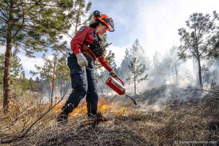 Columbia Shuswap protective services manager urges haste on ‘Canada on Fire’ recommendations