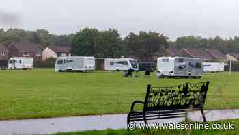 Human excrement left in children's play area after Travellers camp in Litchard sports fields