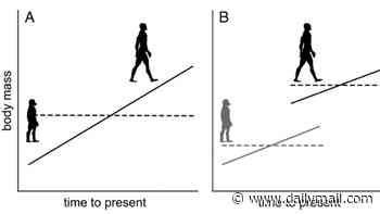 Growth spurt! Humans 'jumped' in size two million years ago, scientists reveal