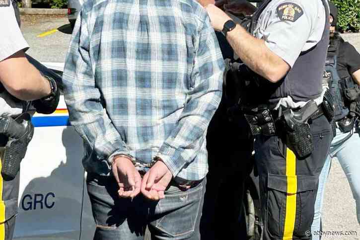 New B.C. program introduced to monitor chronic property crime offenders