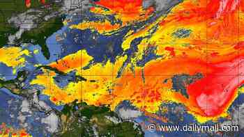 Massive cloud of Saharan dust set to engulf parts of the US in DAYS with lung-penetrating particles