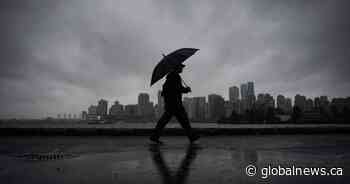 A soggy June could mean mosquitoes ‘plaguing’ many Canadians, experts say