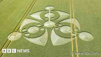 'Eye-shaped' crop circle found in farmer's field