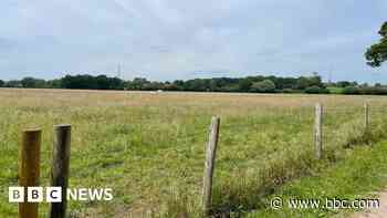 'Alarm' over plans for 1,200 homes on beauty spot