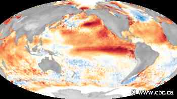 Super El Niño could bring warmer summer to Thunder Bay and northwestern Ontario, expert warns