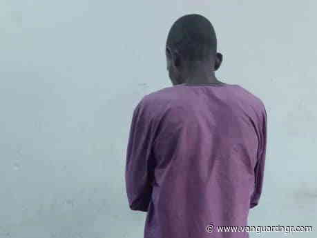 Police arrest suspected kidnapper, recover AK-47 in Plateau