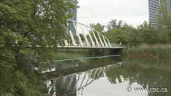 Cleanup efforts underway after diesel spill in Mimico Creek, city says
