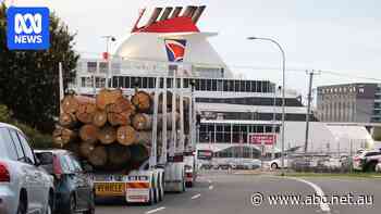 Logging company gives new answer to parliament over logs sent to Victoria