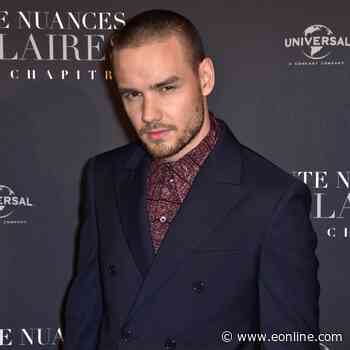 Liam Payne's Son Bear, 9, Named Sole Beneficiary of $29 Million Estate
