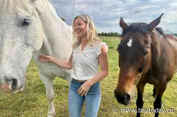 Horses work with psychotherapists to help people heal from trauma