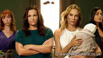 Channel 5 drama star's admission ahead of Little Disasters' tense finale