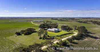 Mill Farm delivers sheep, cattle with integrated fodder production | Photos