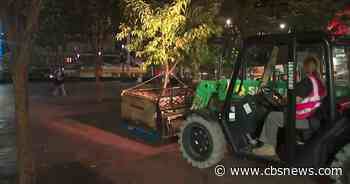 Real peach trees being planted on Atlanta's Peachtree Street