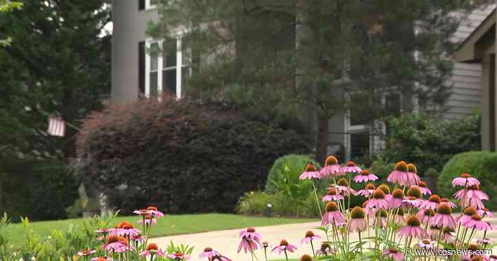 Brookhaven city leaders considering 40% increase to property tax rate