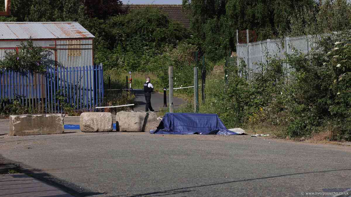 Murder weapon in teen murder used in previous shootings as police probe gang factions